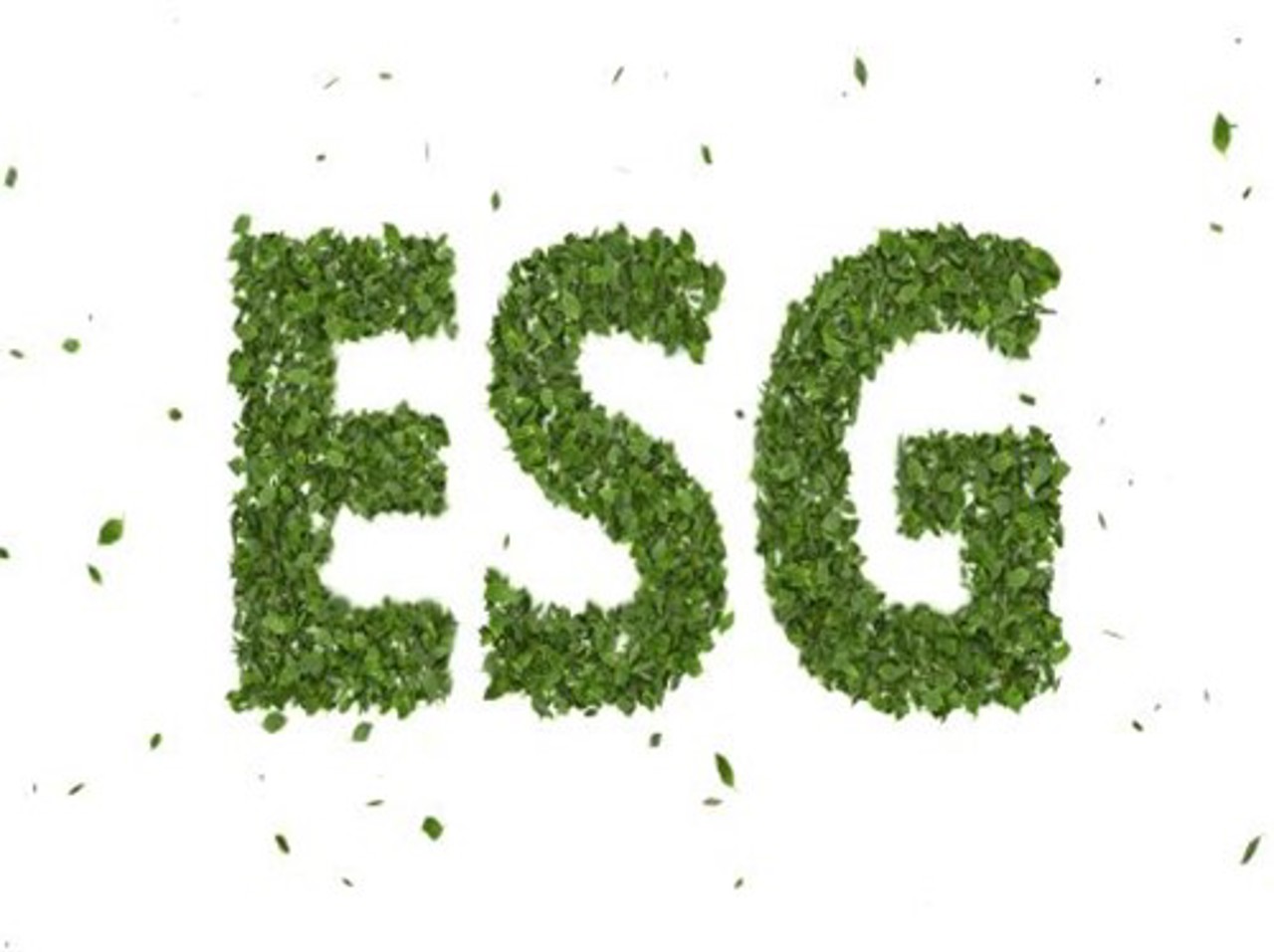 esg-blog.jpg