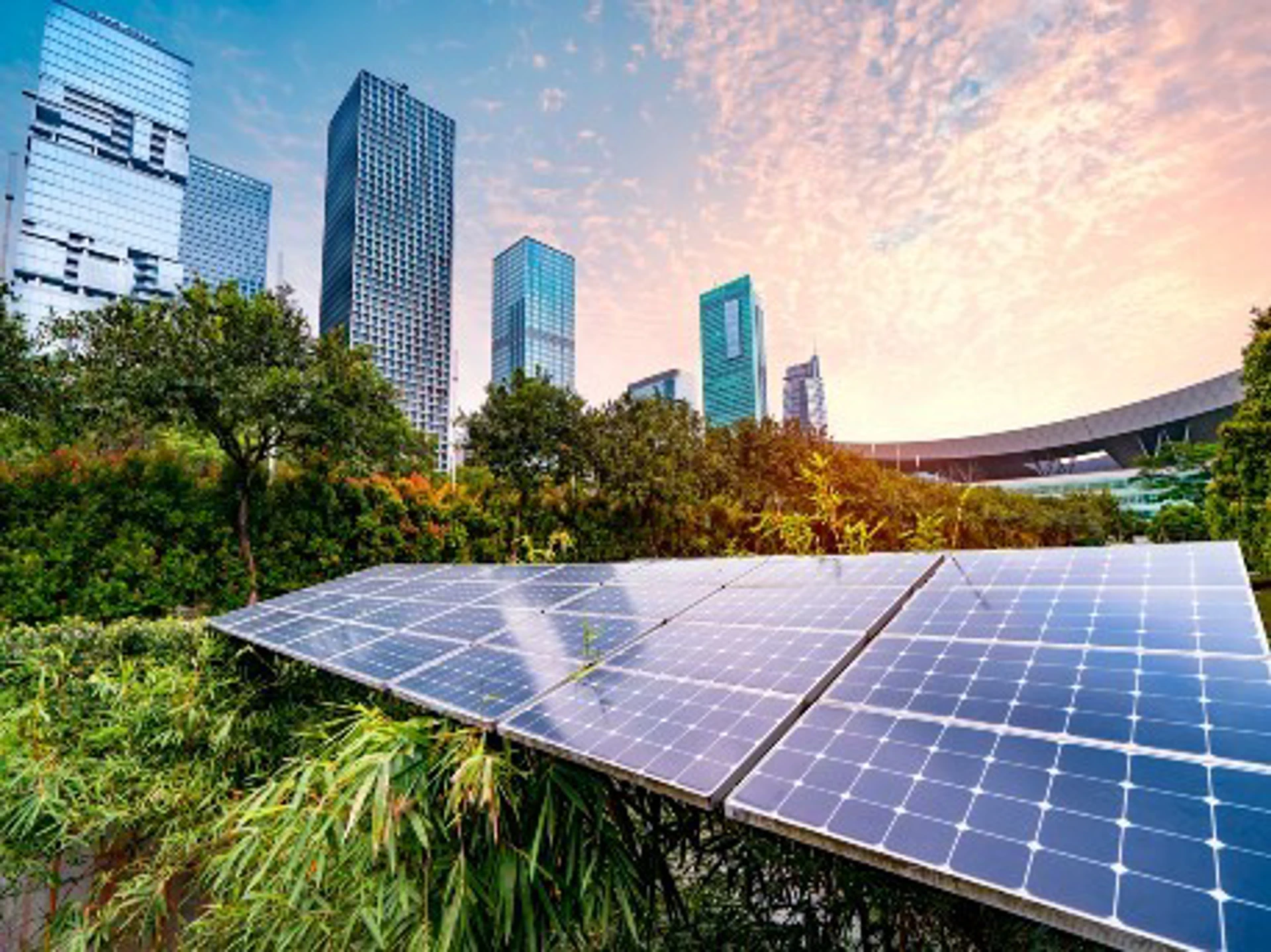 sustainable-investing-website.jpg